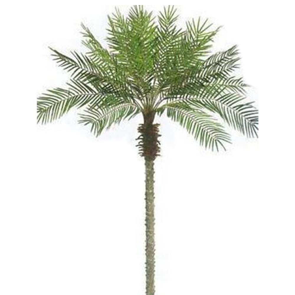8ft Artificial Phoenix Palm Tree Lizard Events Ltd